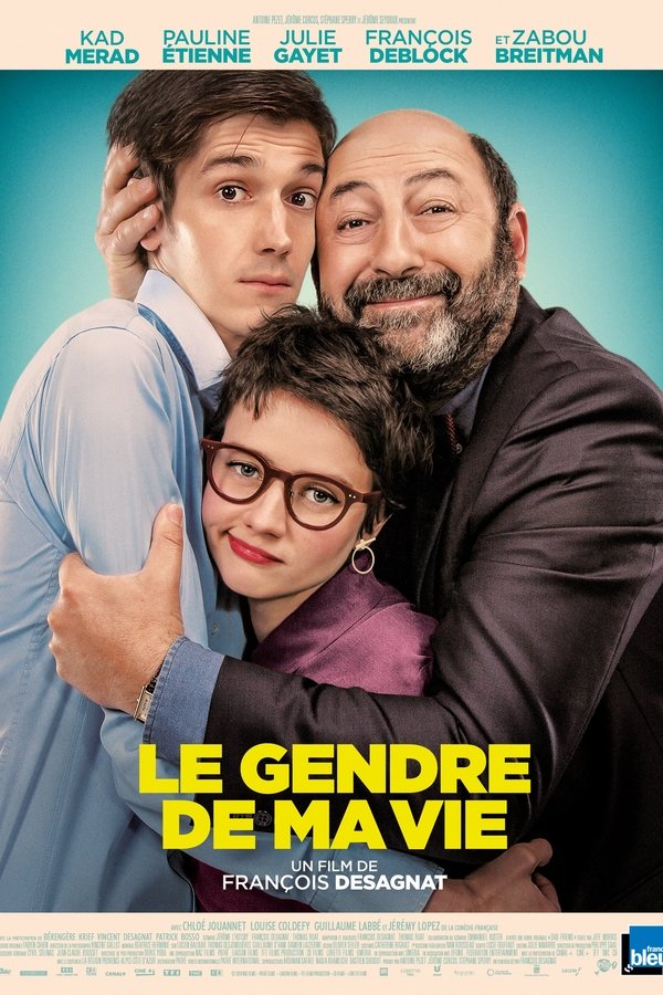 FR - Le Gendre de ma vie (2018)