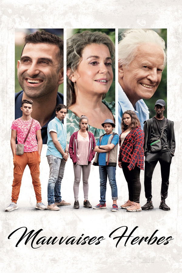 TR - Bad Seeds  - 2018