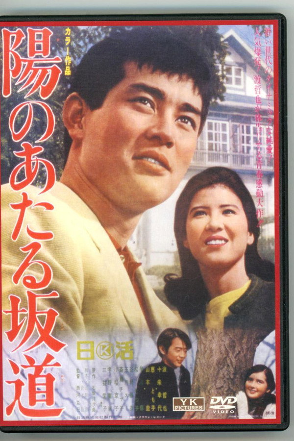 向阳的坡路