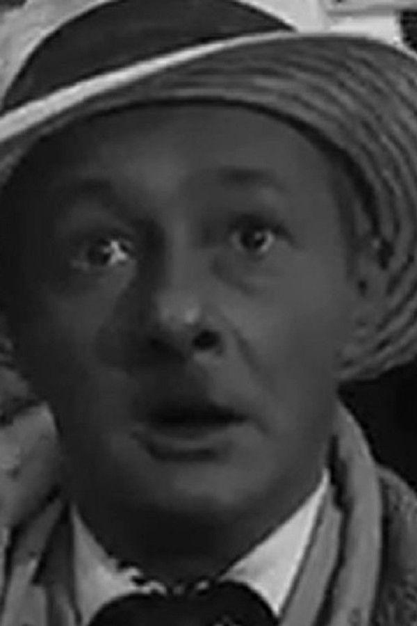 Inspekcja pana Anatola poster