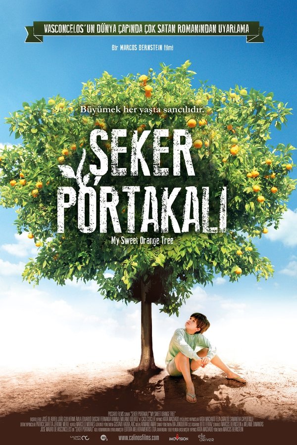 Şeker Portakalı