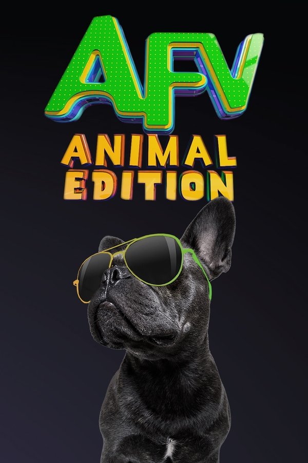 America's Funniest Home Videos: Animal Edition poster