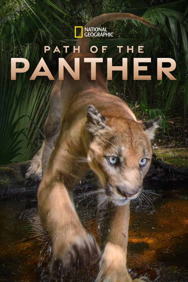 EN - Path Of The Panther (2022)