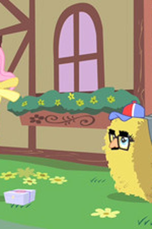 My Little Pony – L’amicizia è magica – S01E25 – La Festa di Compleanno