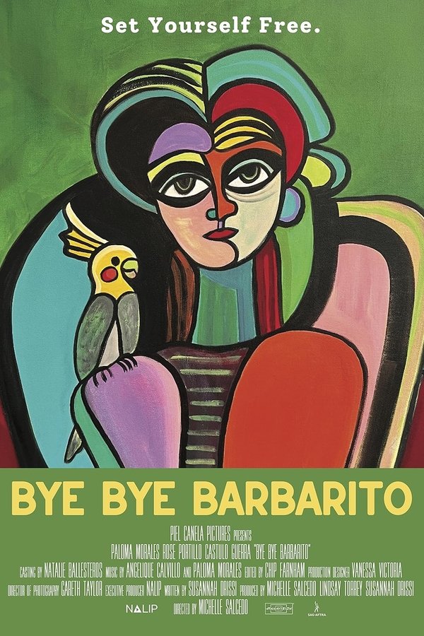 Bye Bye Barbarito poster