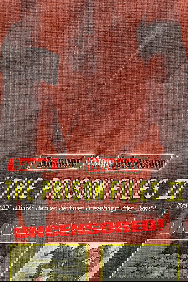Banned from Television: Prison Files II