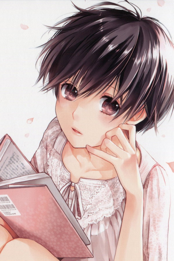 Bokura wa Minna Kawai-sou: Hajimete no