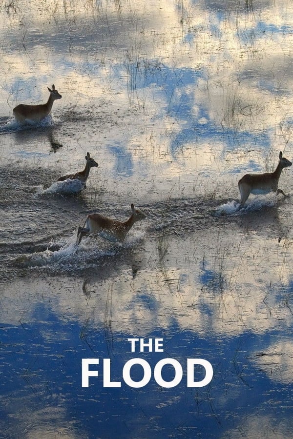 The Flood