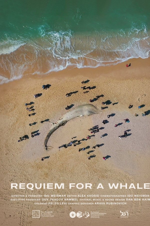 Requiem for a Whale poster