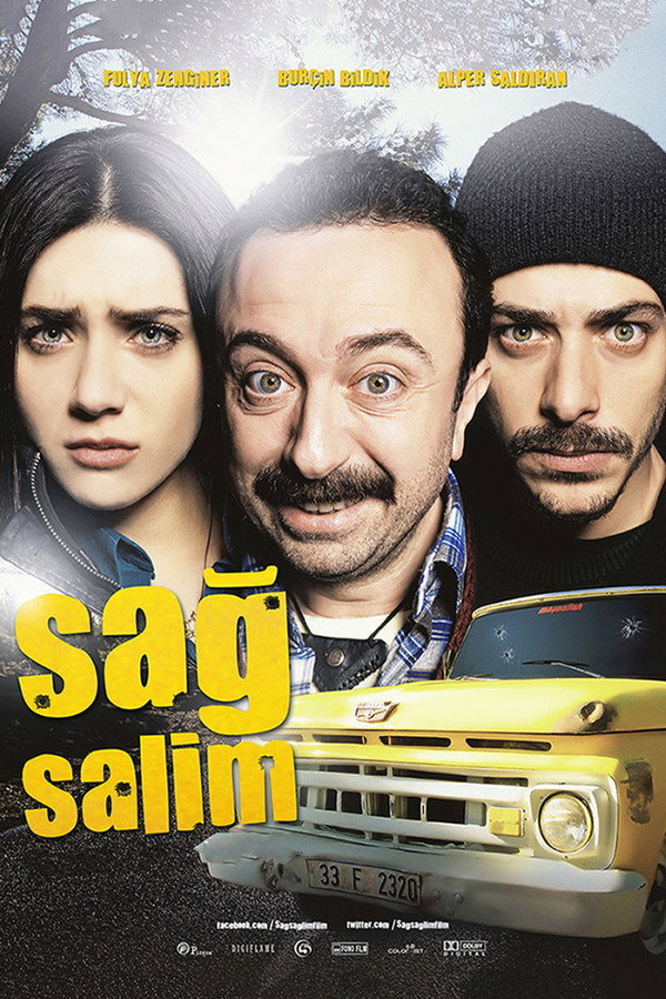 Sağ Salim (2012)