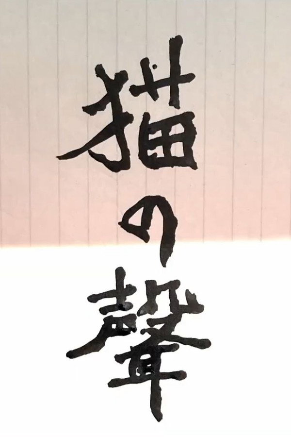 Name of The Cat