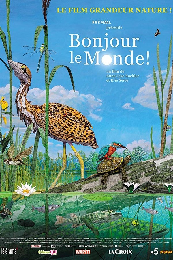 FR - Bonjour le monde !  (2019)