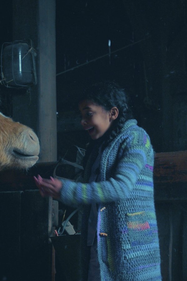 Lovely Little Farm – S02E04 – Episodio 4