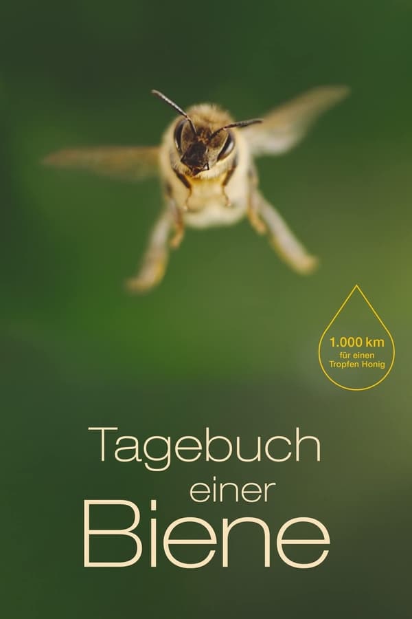 Der Dokumentarfilm zeigt die Lebenszyklen von Honigbienen, von ihrer Geburt bis zum Tod. Mit der Makrokameratechnik und einer speziellen Nachbearbeitung wird eine einmalige Bildsprache ermöglicht, die neue Einblicke in die Welt der Bienen erlaubt.