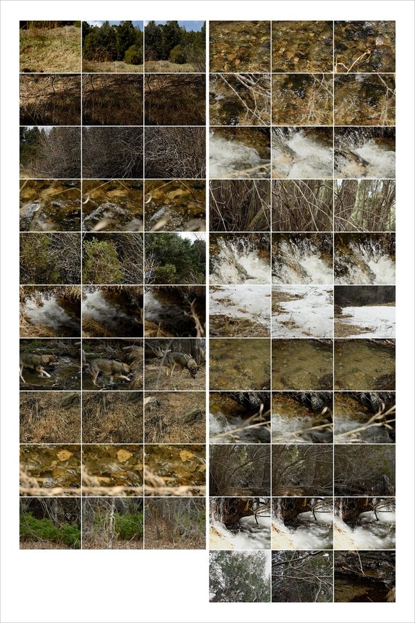 Interactions 3: Forest and Stream poster