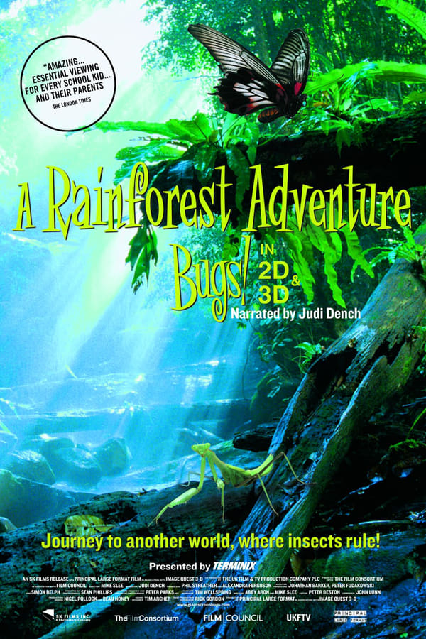 Bugs ! : A Rainforest Adventure