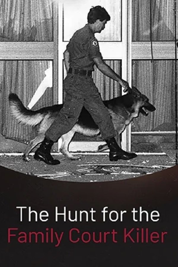 The Hunt for the Family Court Killer