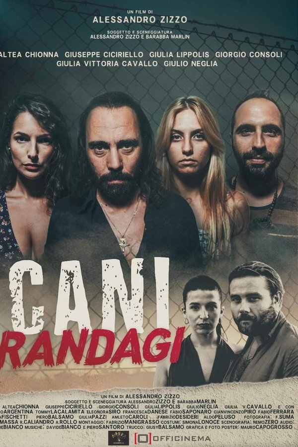 Cani Randagi (2023)