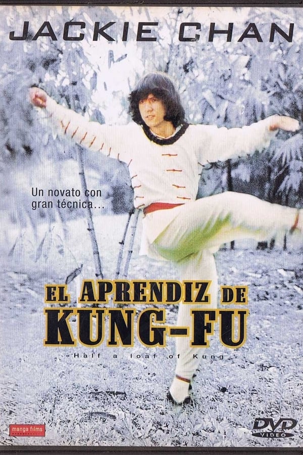 El aprendiz de Kung Fu