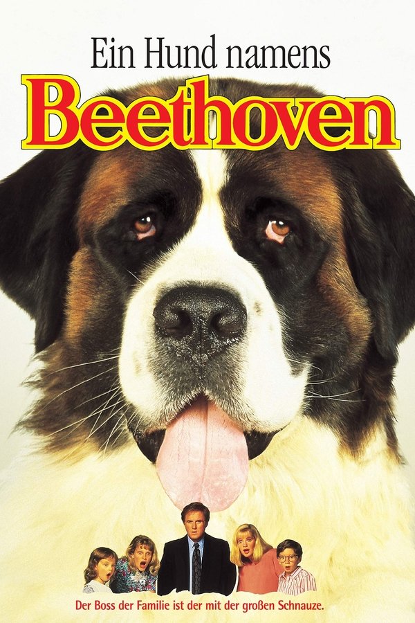 Als kleiner Welpe entkommt Bernhardiner Beethoven ruchlosen Tierfängern und läuft der typisch amerikanischen Familie Newton zu. Die Kinder schließen den Hund sofort in ihr Herz, und selbst der mürrische Papa George mag Beethoven trotz all seiner Streiche. Aber die Tierdiebe ruhen nicht: Mit einem gemeinen Trick täuscht der Tierarzt Dr. Varnick vor, Beethoven hätte ihn angefallen. Die Drohung mit einer Anzeige bringt die Newtons dazu, die heißgeliebte Töle zu Varnick zum Einschläfern zu bringen. Tatsächlich will der Beethoven für gemeine Experimente mißbrauchen. Zum Glück kommt Papa George den Gaunern rechtzeitig auf die Schliche.