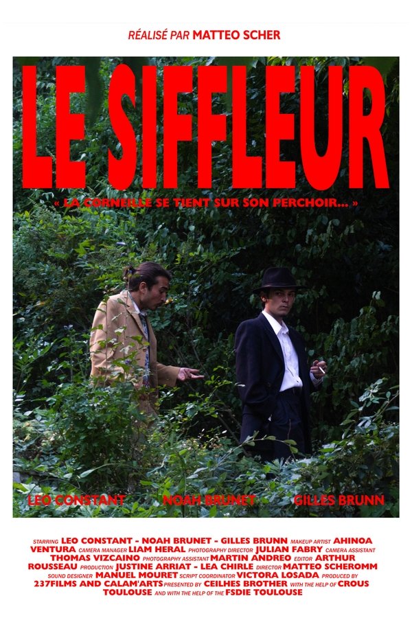 Le Siffleur poster
