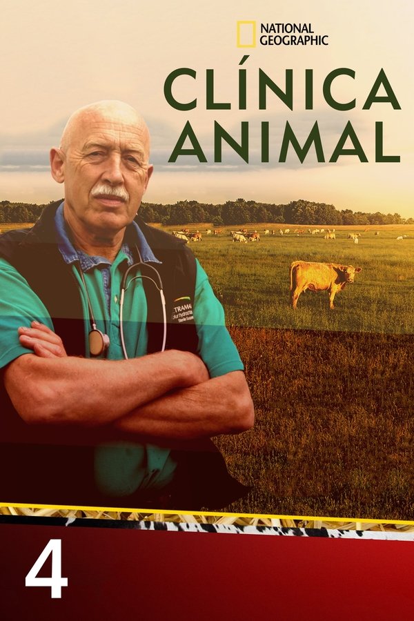 Temporada 4