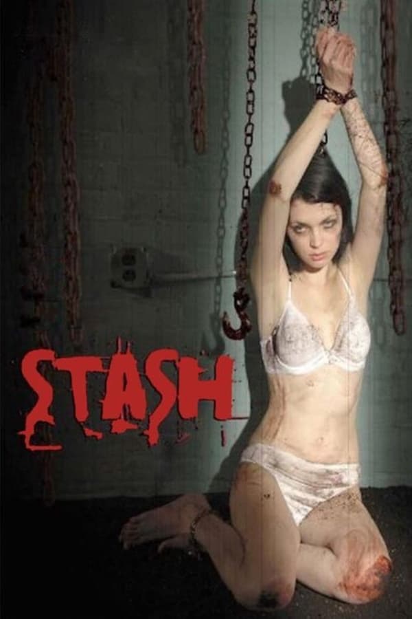 Stash poster
