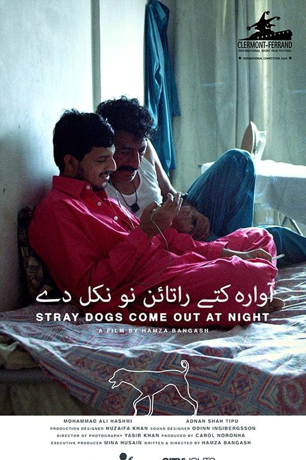 Stray Dogs Come Out at Night