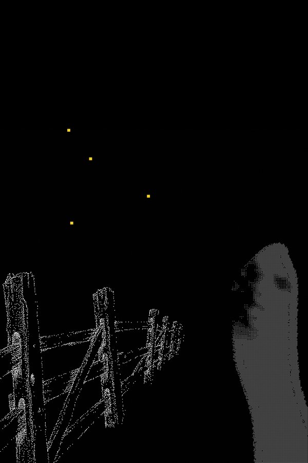 Fireflies Along the Fence