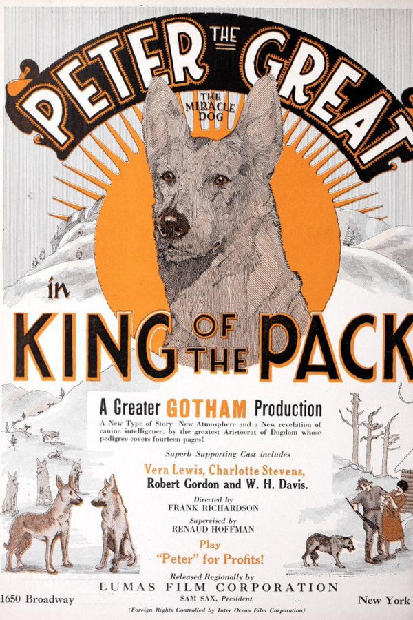 King of the Pack