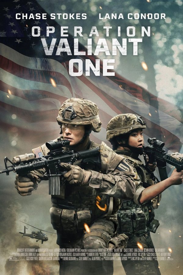 DE - Operation Valiant One (2025)