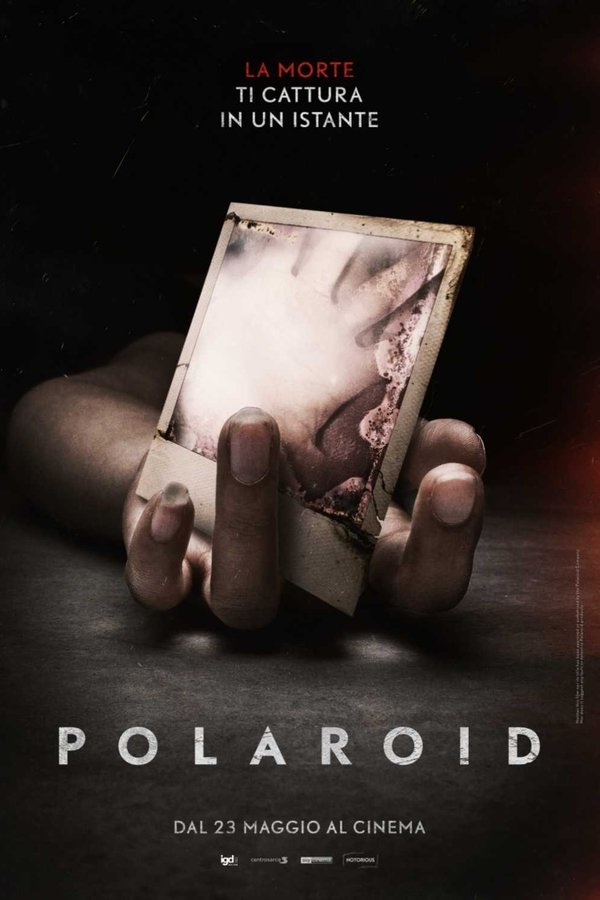 IT - Polaroid