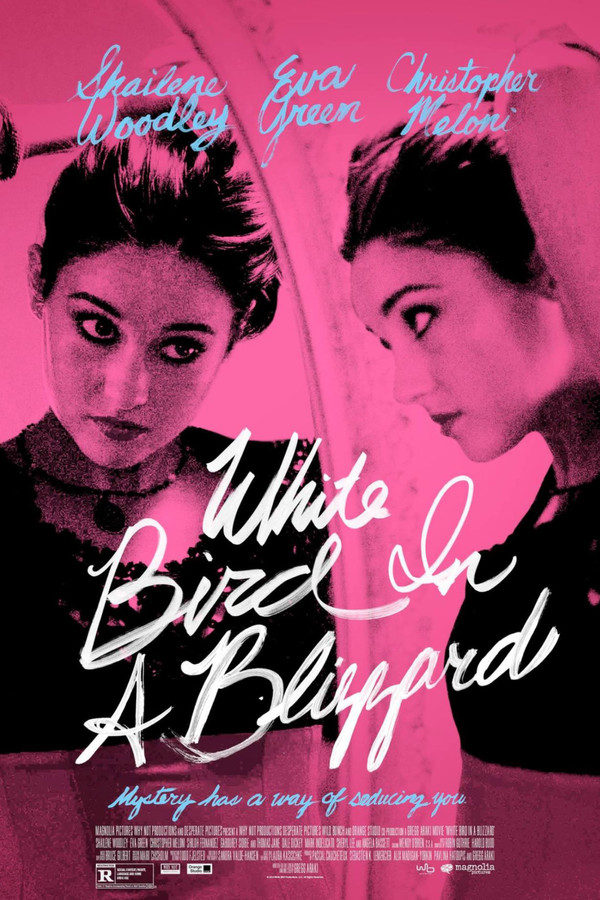 White Bird in a Blizzard poster