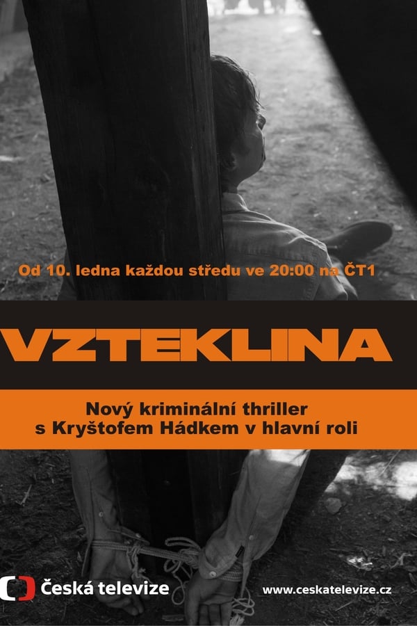 Vzteklina