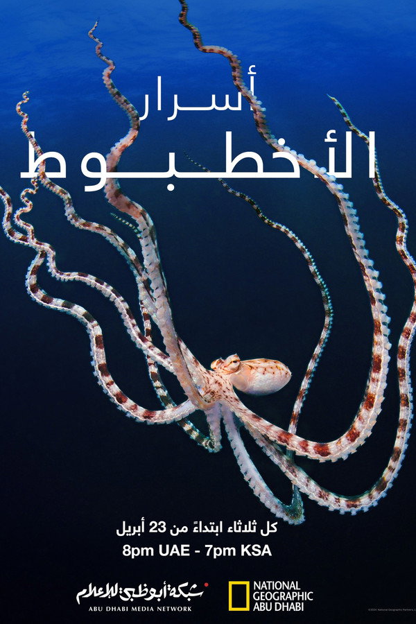 Secrets of the Octopus
