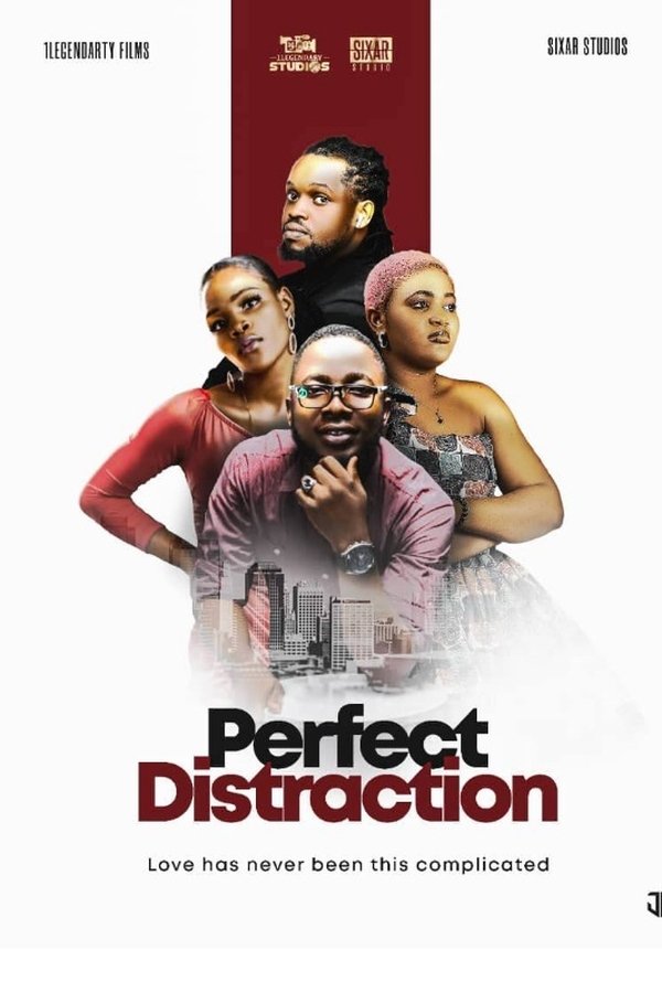 Perfect Distraction poster