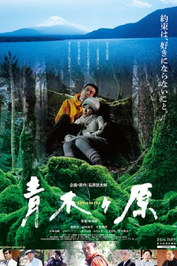 Aokigahara