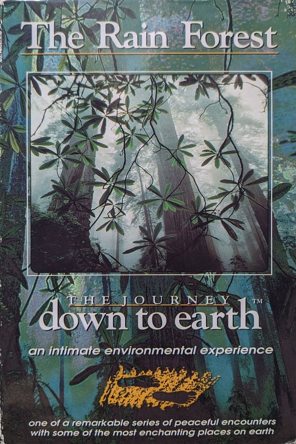 The Journey Down to Earth – The Rain Forest