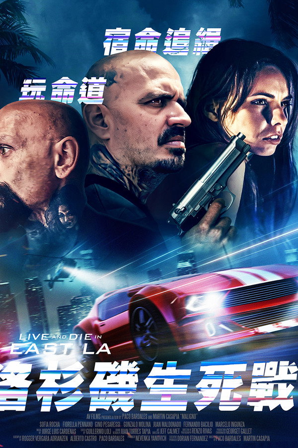 洛杉矶生死战