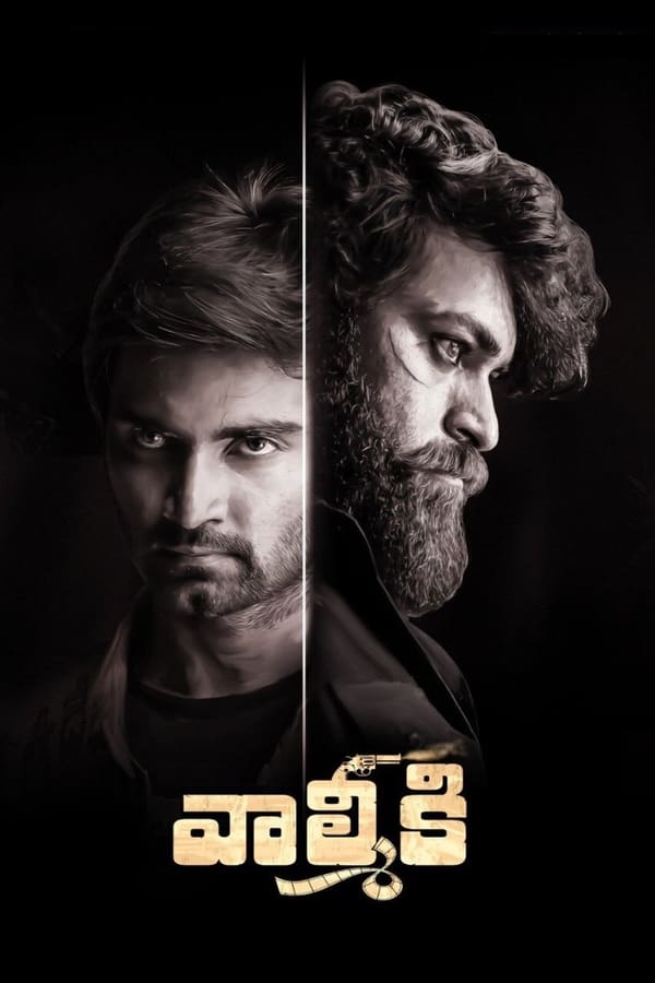 TVplus TG - Gaddalakonda Ganesh  (2019)