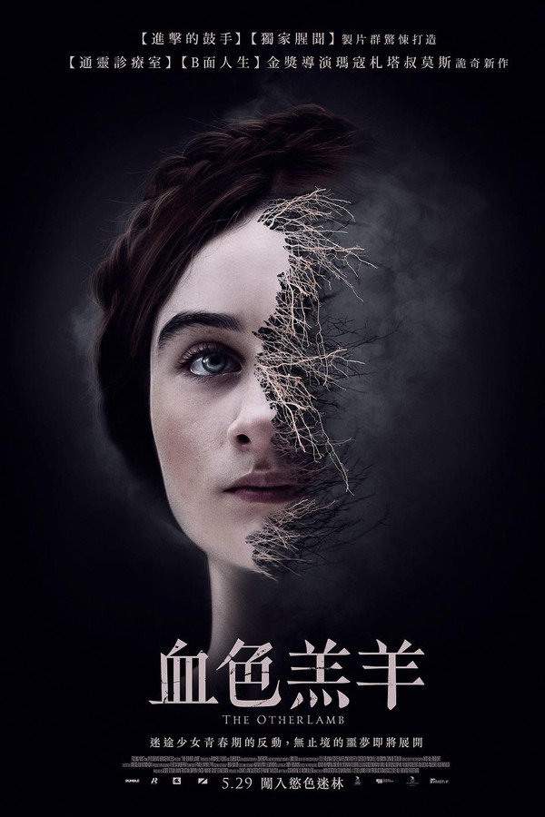 另一只羔羊