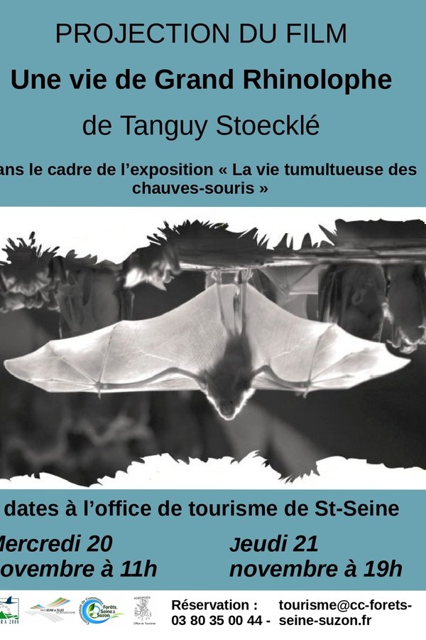 The Life of a Greater Horseshoe Bat