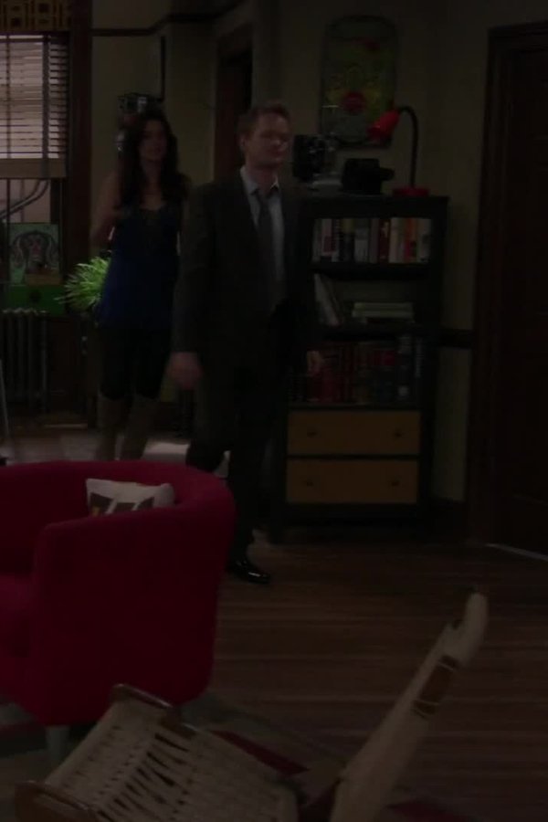 How I Met Your Mother – S05E04 – Gioie da single