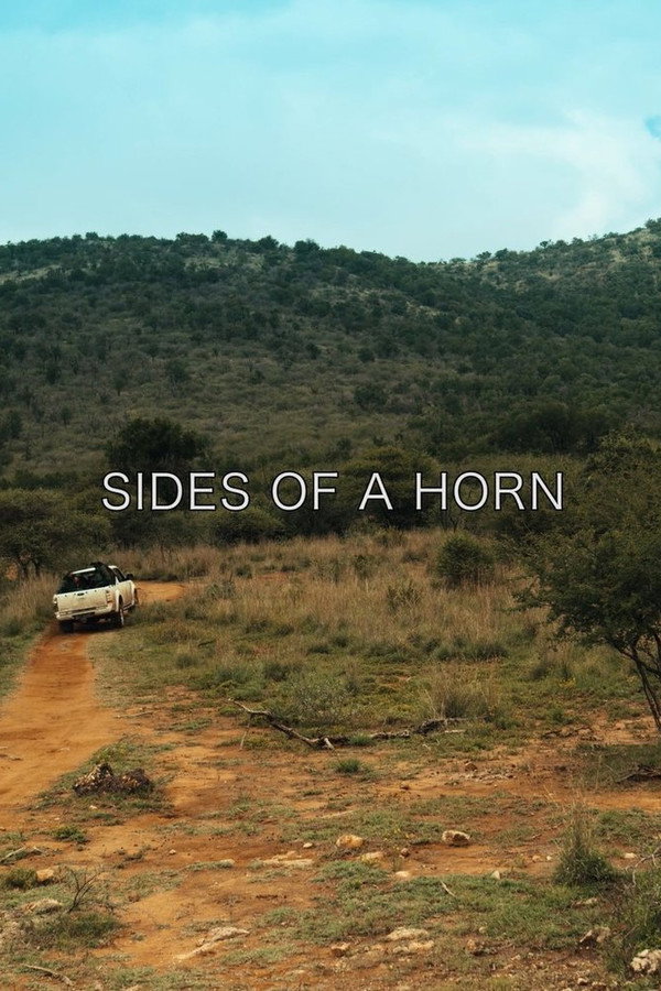 Sides of a Horn (2018)