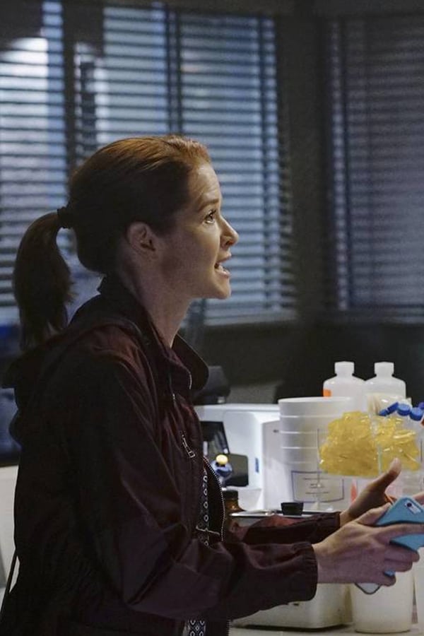 Grey’s Anatomy – S12E15 – Non aspetto più