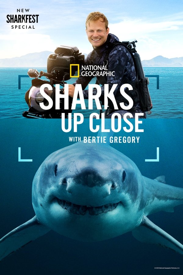 Sharks Up Close with Bertie Gregory Poster