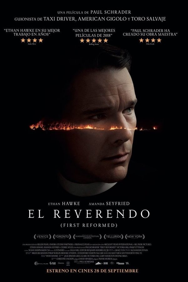 Ver Private Lif (2018) Online