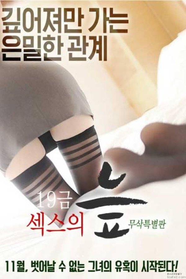 19금 섹스의 늪