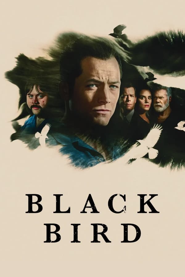 TVplus AL - Black Bird