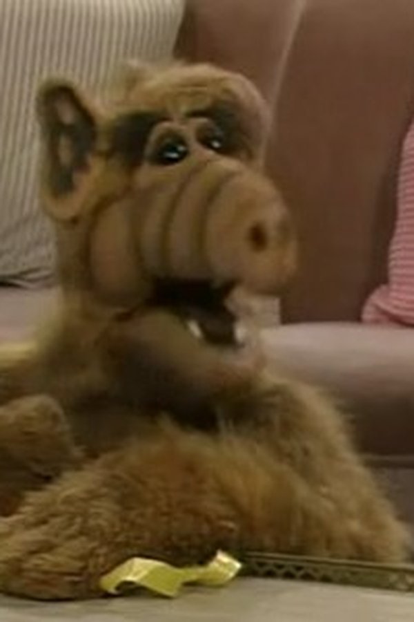 ALF – S01E02 – Una notte movimentata